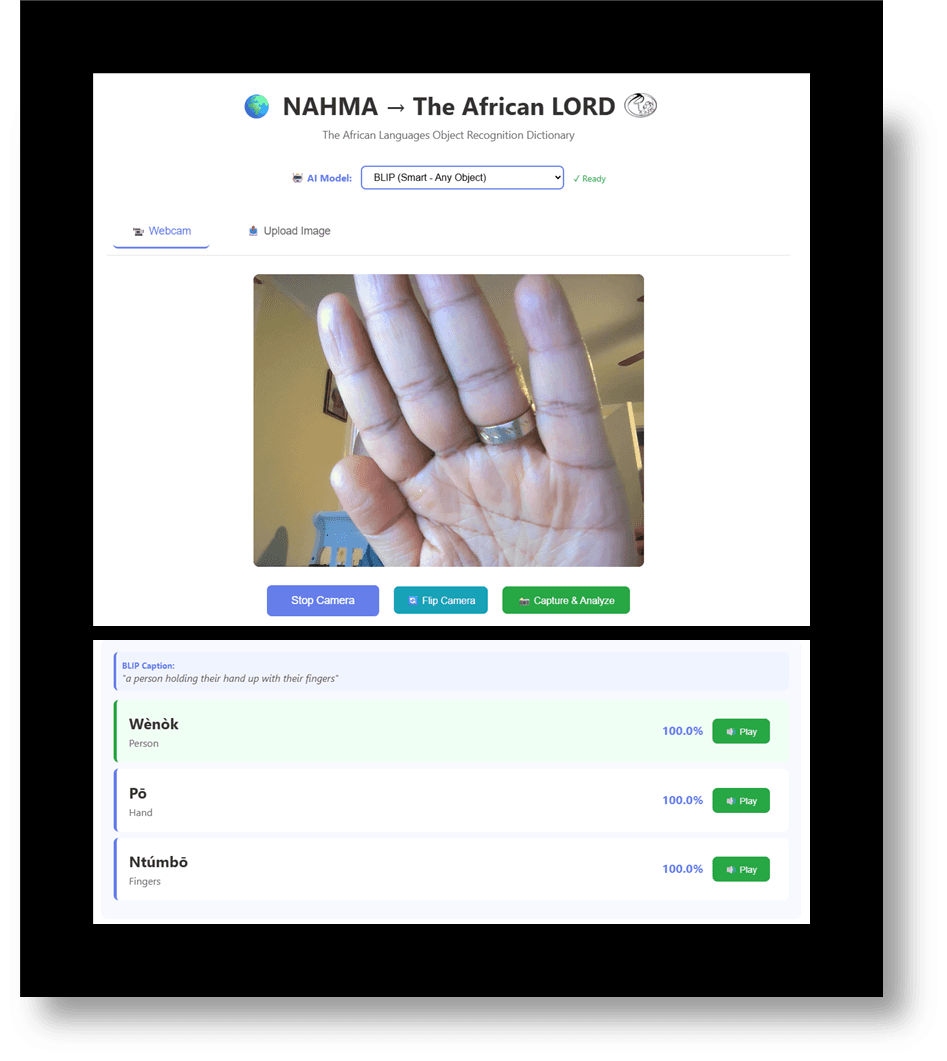 African Object Recognition